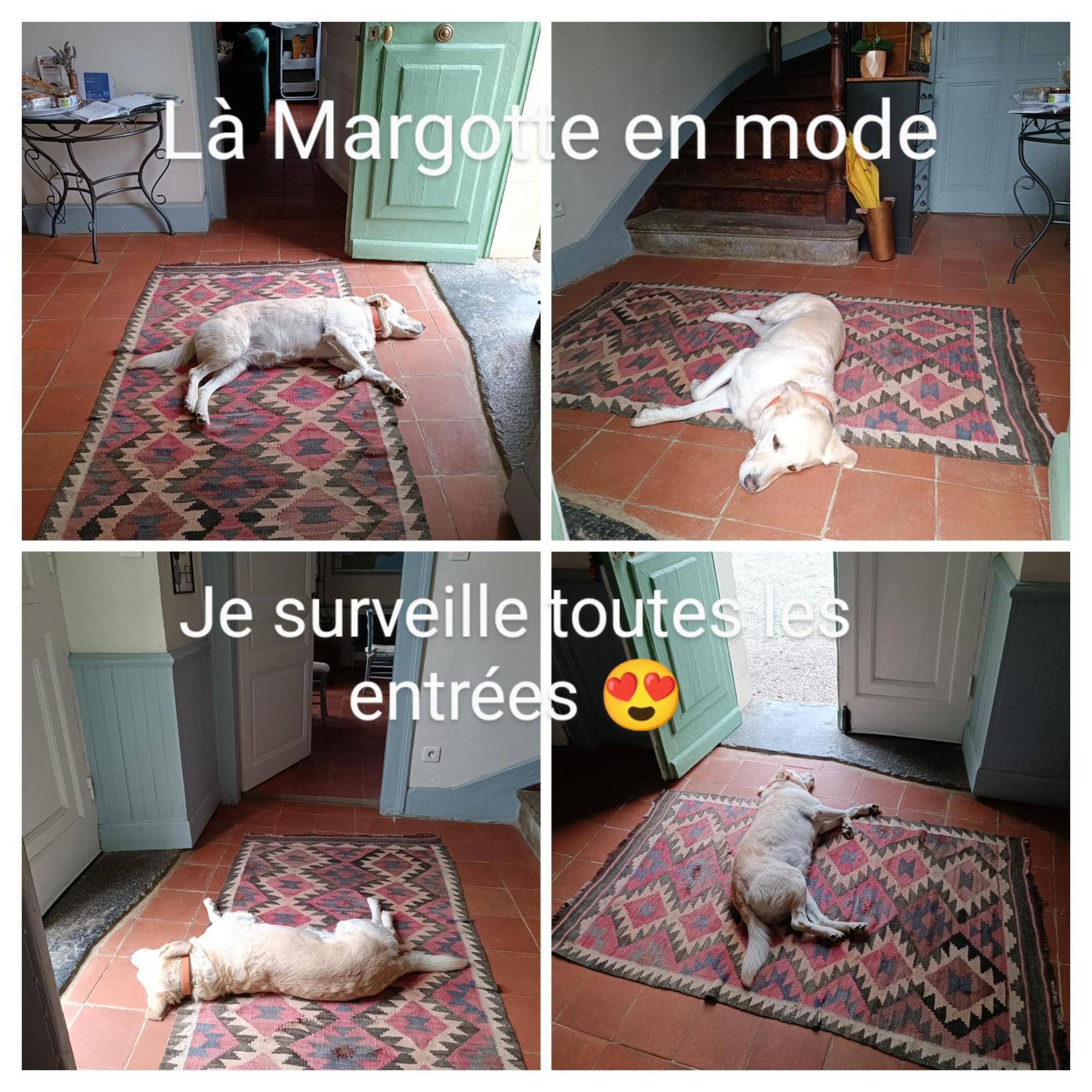 Baladous Bed & Breakfast Montgaillard-de-Salies Dış mekan fotoğraf